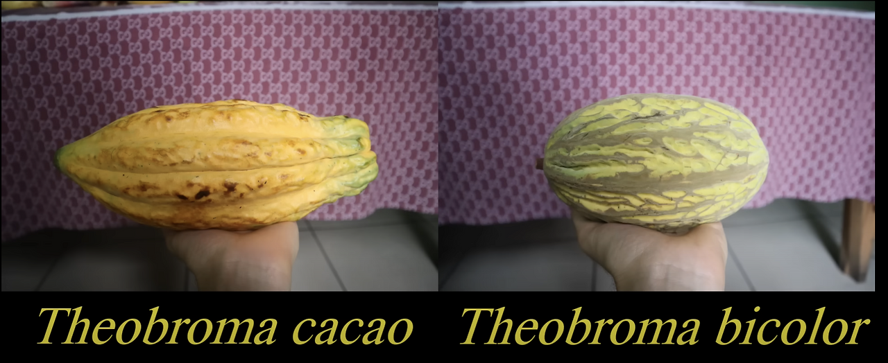 Screenshot 2024-01-08 at 1.49.53 pm.png