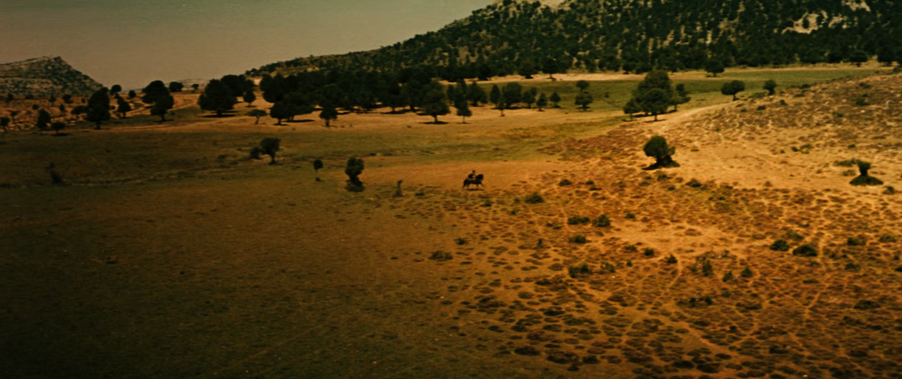 스크린샷 2022-07-15 16.06.22.png