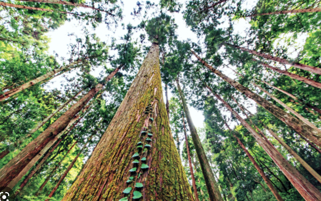 Screenshot 2023-02-26 at 3.15.00 PM.png