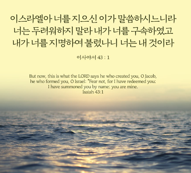 Screenshot 2024-06-28 at 10.04.15 AM.png