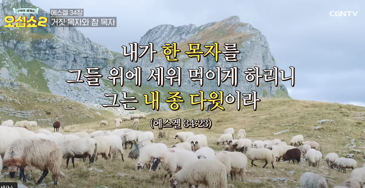 Screenshot 2024-08-11 at 4.21.22 PM.png