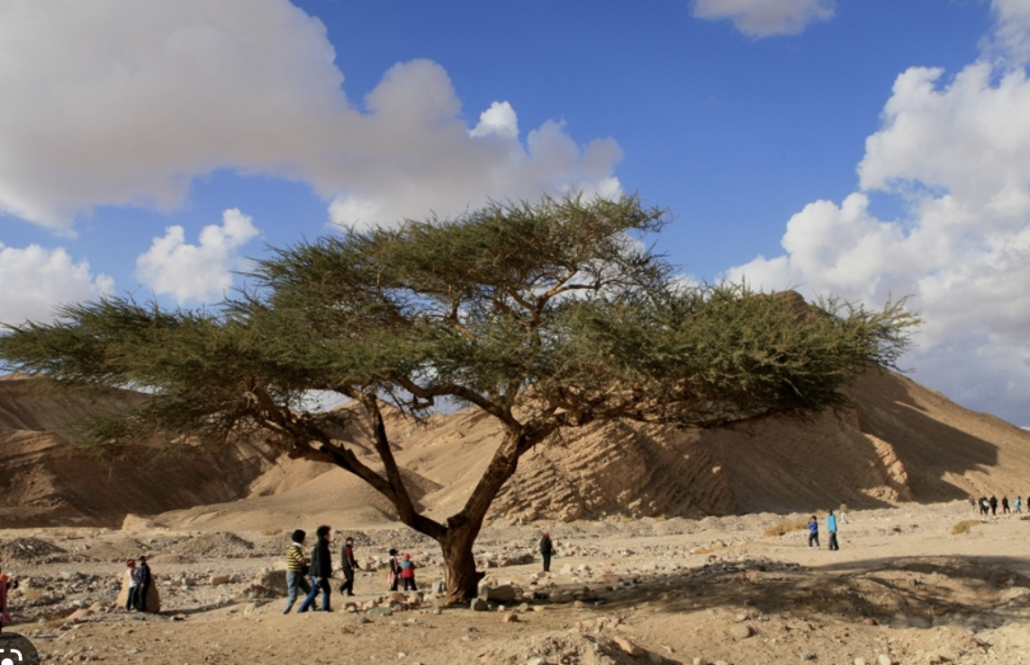 Screenshot 2023-02-26 at 3.18.25 PM.png