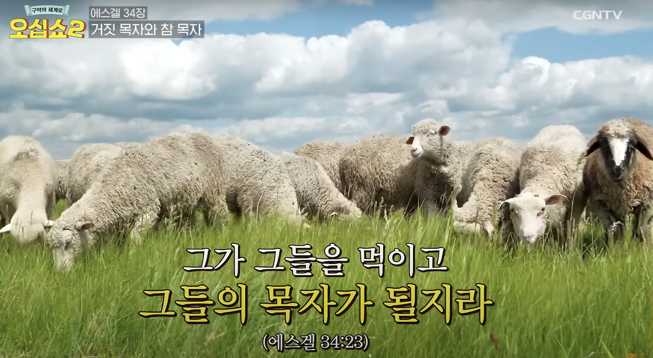 Screenshot 2024-08-11 at 4.21.36 PM.png