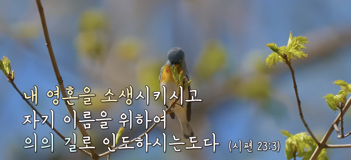 Screenshot 2024-05-26 at 10.43.20 PM.png