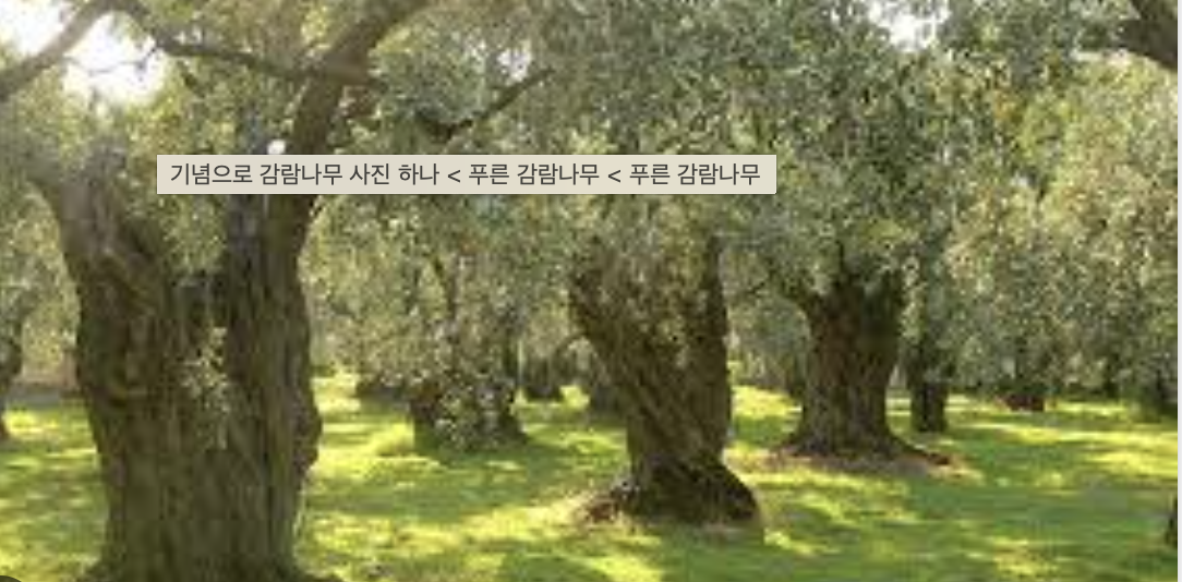 Screenshot 2023-02-26 at 3.17.18 PM.png