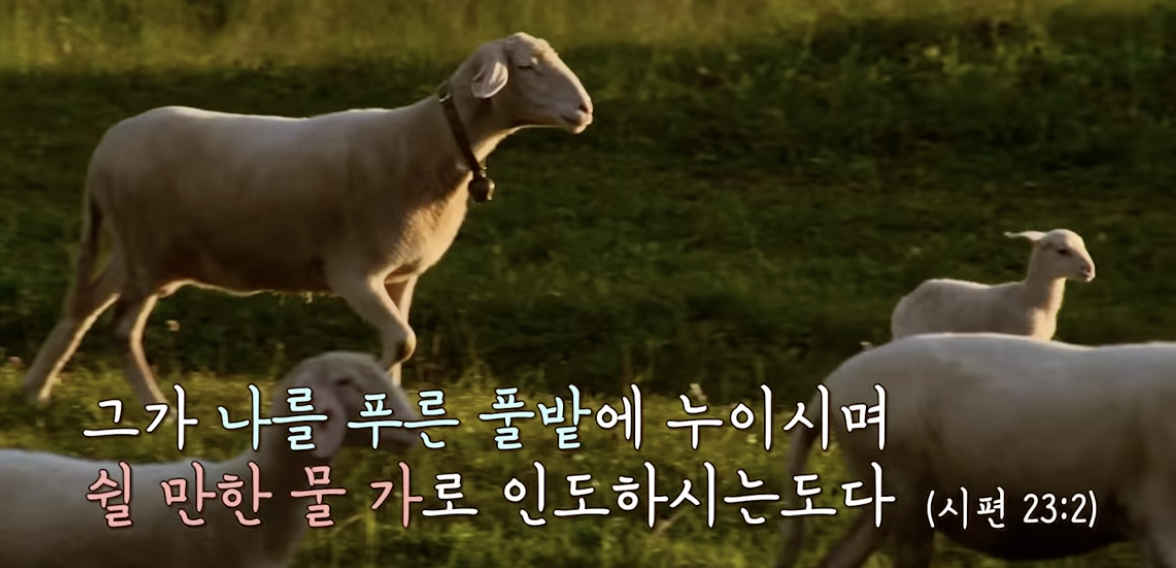 Screenshot 2024-05-26 at 10.43.15 PM.png