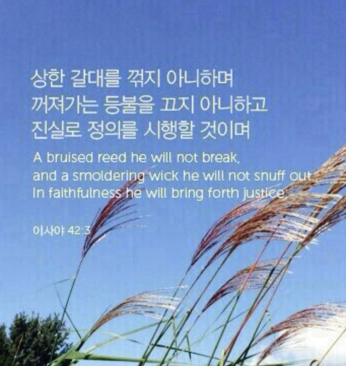 Screenshot 2024-06-28 at 10.01.51 AM.png