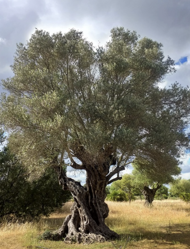 Screenshot 2023-02-26 at 3.17.11 PM.png