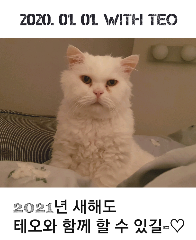 KakaoTalk_20200529_163659639.png