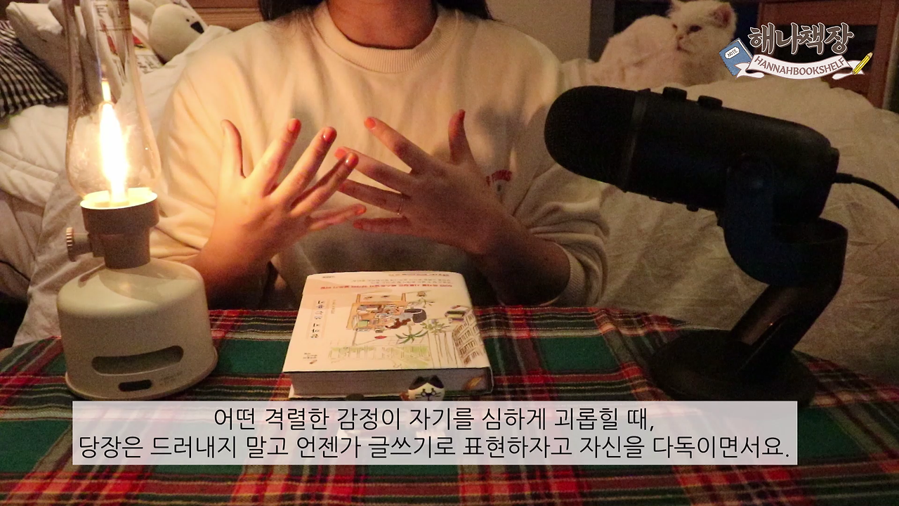 326_글쓰기 책 추천 정여울 작가의 끝까지 쓰는 용기 북튜버 해나의 북리뷰.mp4_000422000.png