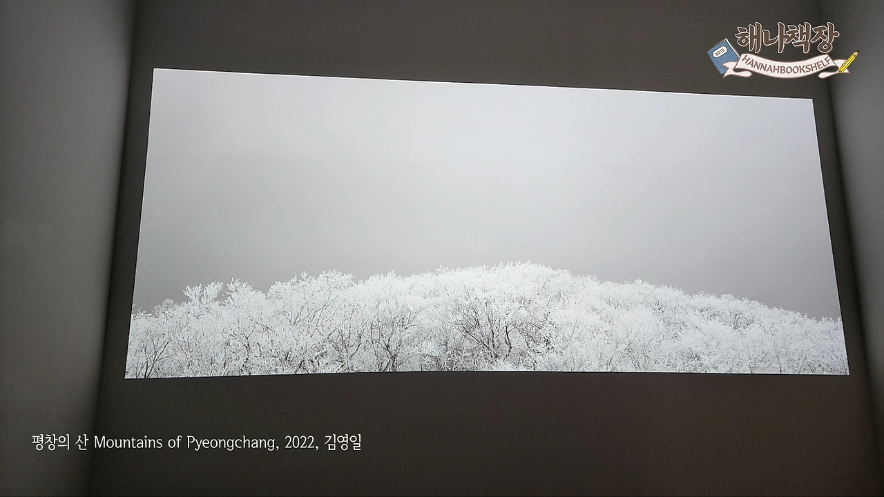 1_피크닉 전시 국내여행 시간과 세월이 쌓인 아름다운 시간 여행.mp4_000333500.png