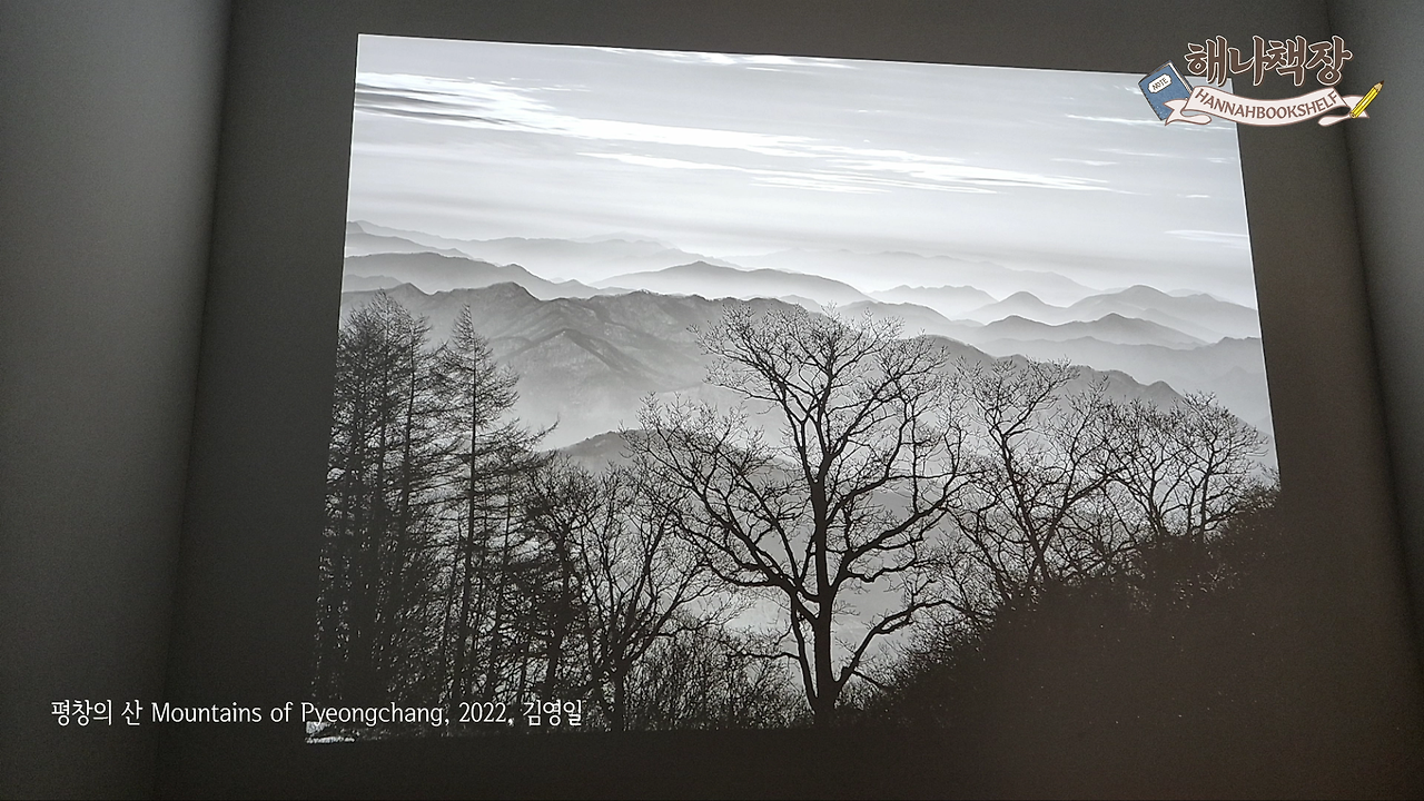 1_피크닉 전시 국내여행 시간과 세월이 쌓인 아름다운 시간 여행.mp4_000328200.png