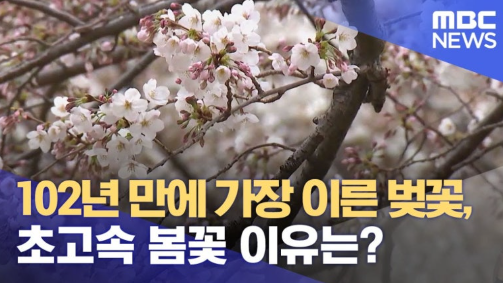 스크린샷 2025-07-22 125038.png