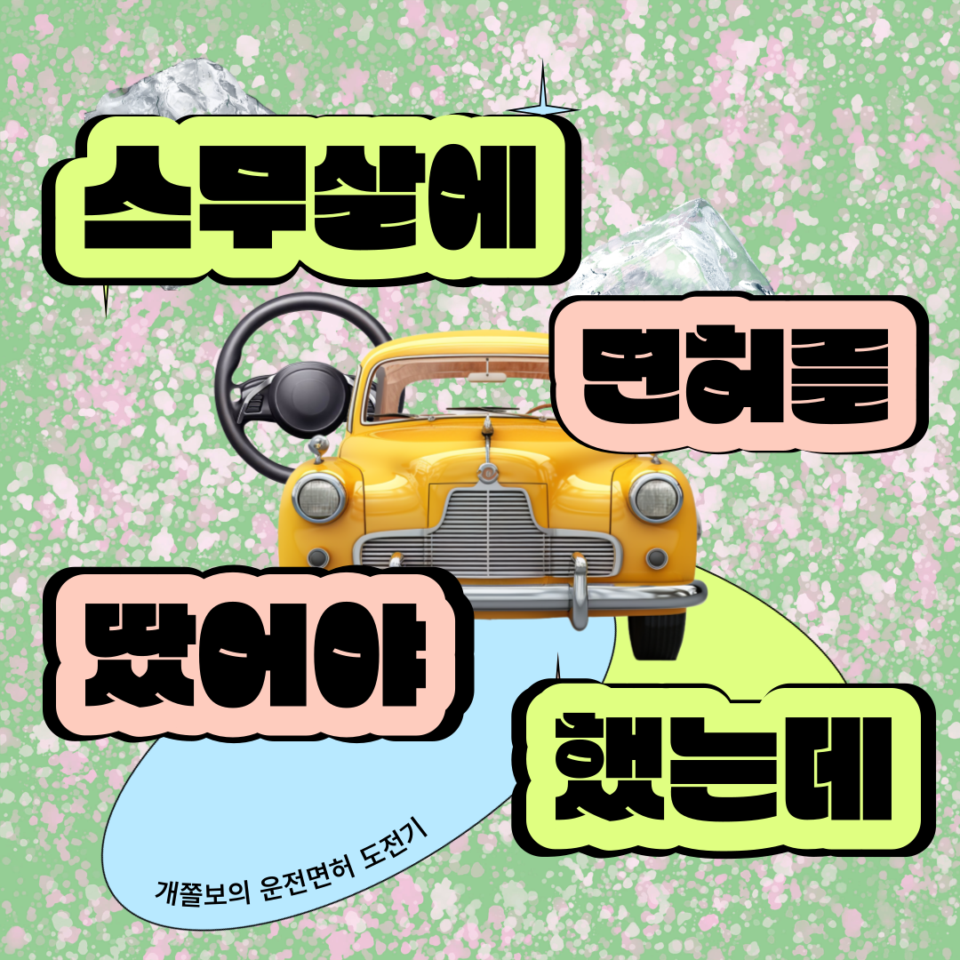 스무살에 면허를 땄어야 했는데.png