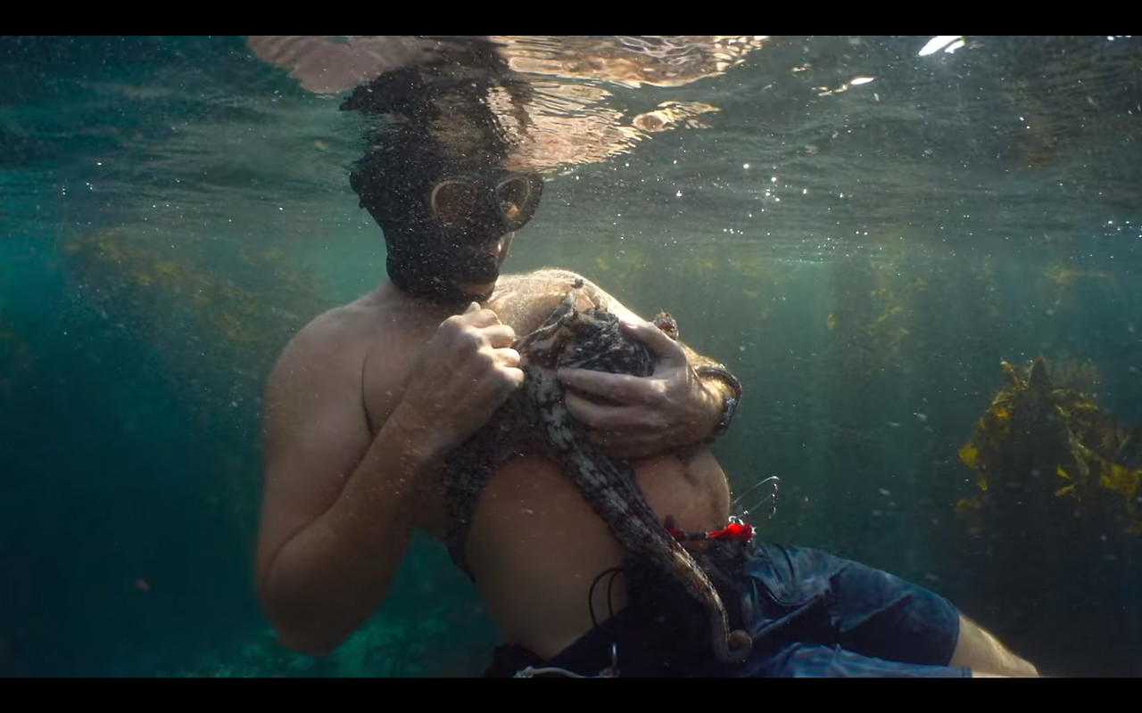 Netflix - Google Chrome 2020-10-18 오후 9_42_57.png