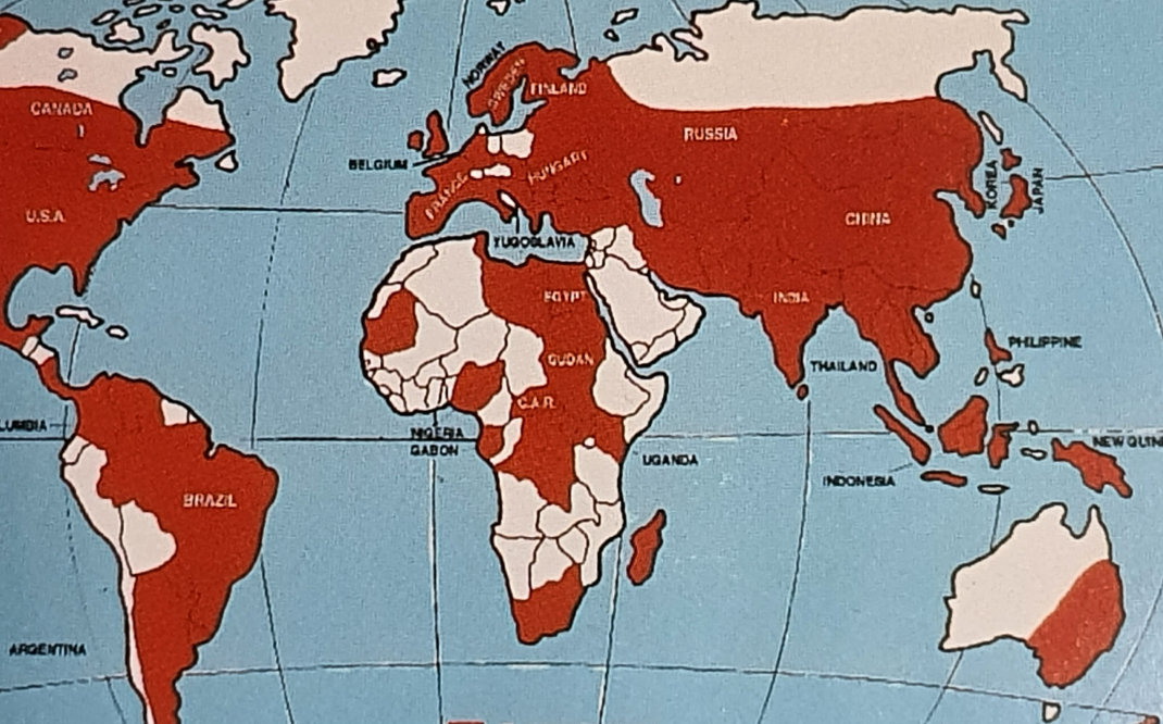 스크린샷 2024-03-15 091942.png