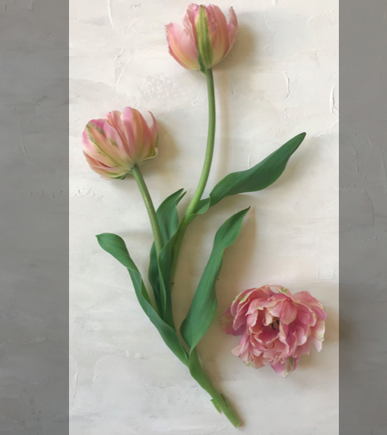 스크린샷 2019-08-29 오전 11.17.55.png