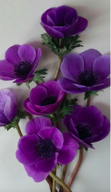 스크린샷 2019-08-29 오후 2.22.37.png