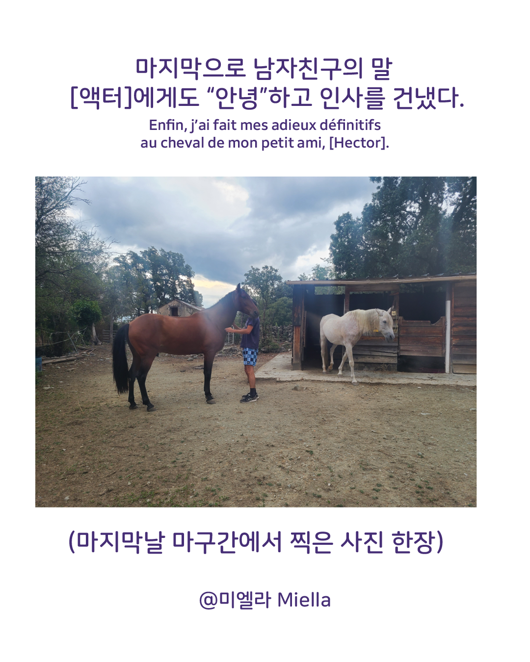 안녕 코르시카 안녕 파리5.png