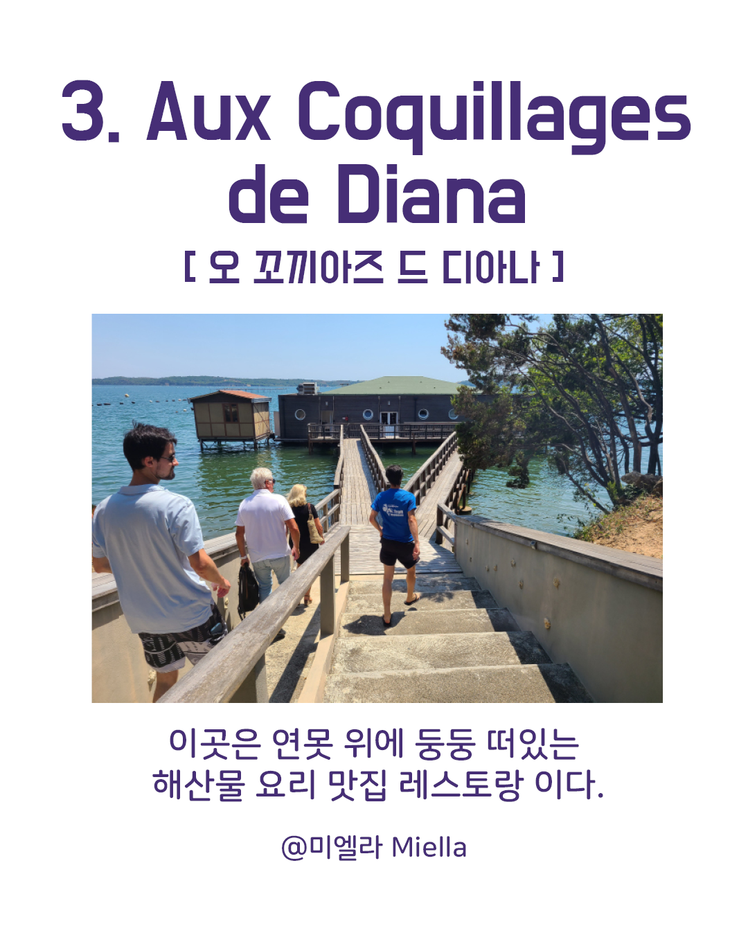 프랑스 코르시카섬 맛집8.png