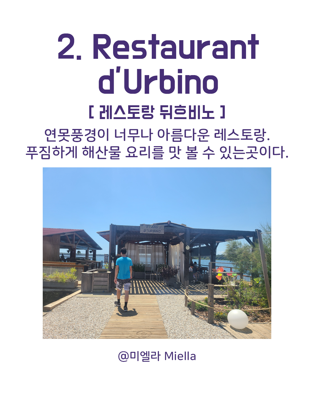 프랑스 코르시카섬 맛집5.png