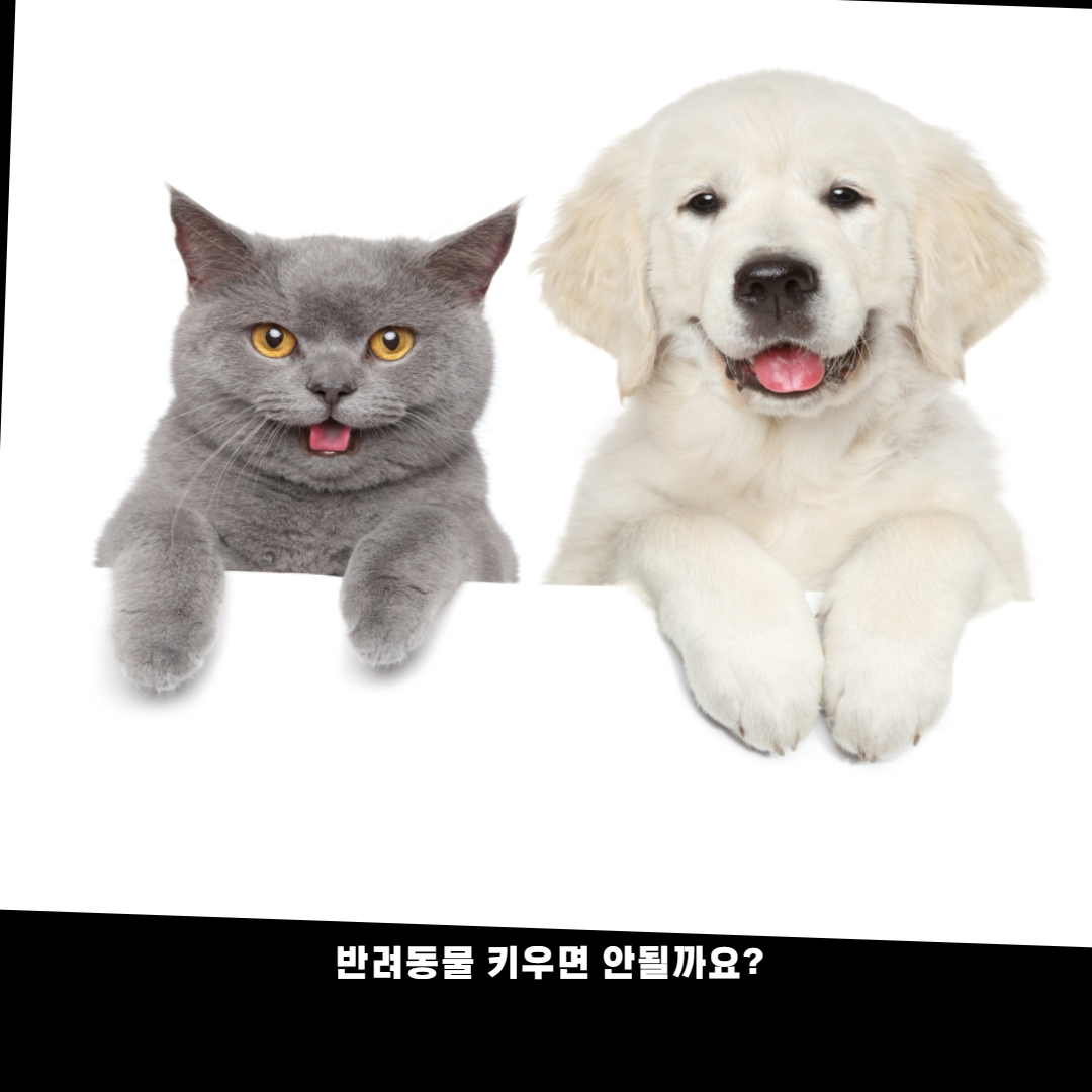 제목을 입력해주세요_-001 (23).png