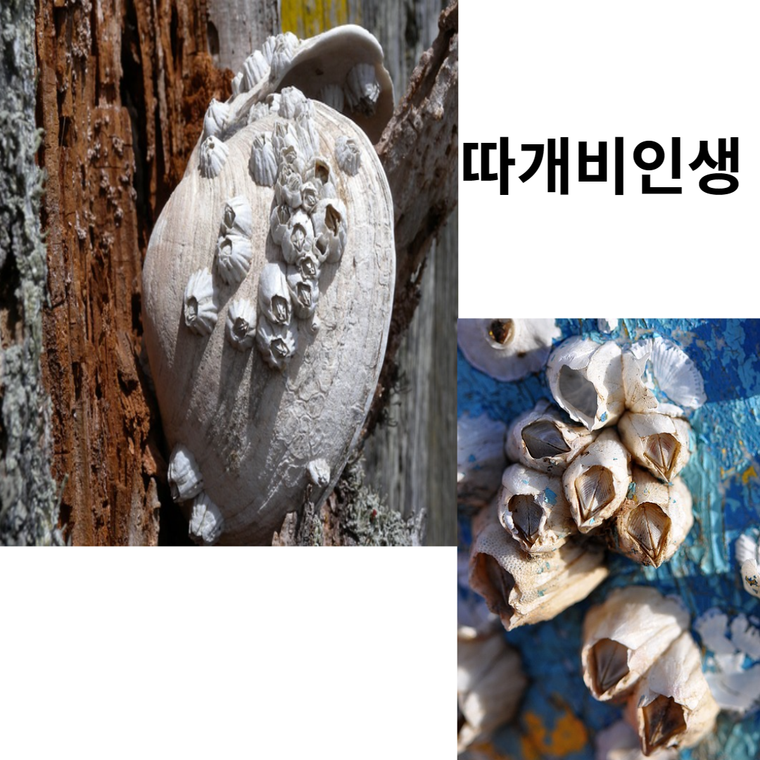 제목을 입력해주세요_-001 (43).png
