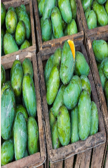 동기부여-001 (6).png