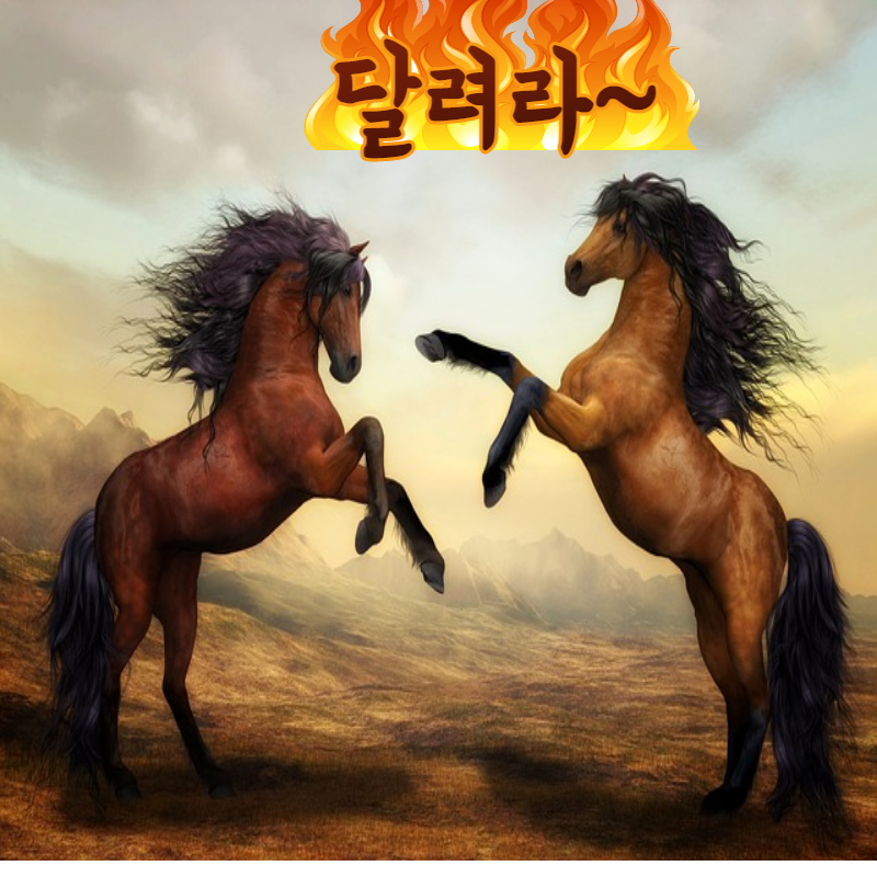 에니어그램-001 (1).png