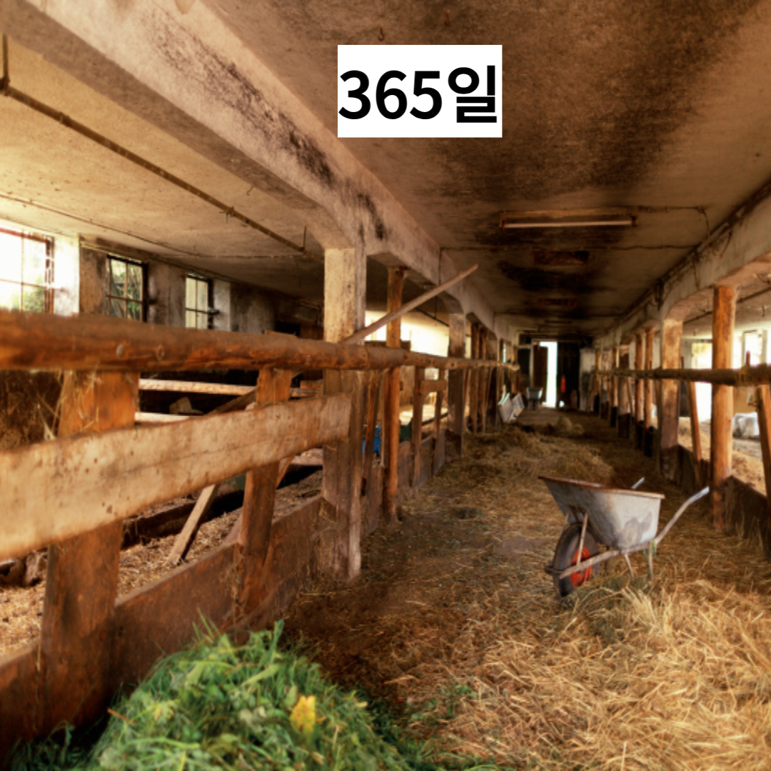 제목을 입력해주세요_-001 (44).png