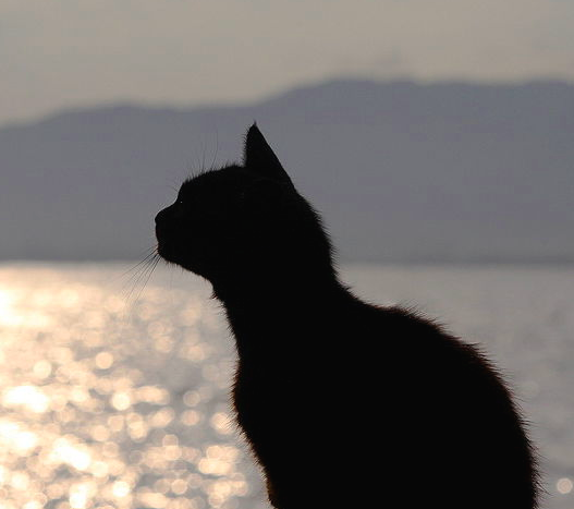 스크린샷 2019-02-13 오전 10.28.35.png