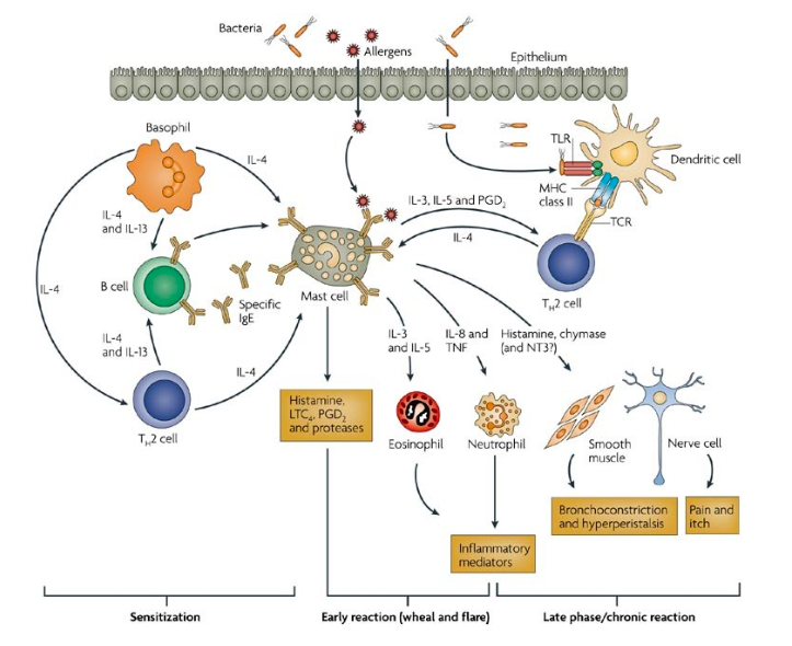 스크린샷 2019-02-13 오전 10.46.35.png