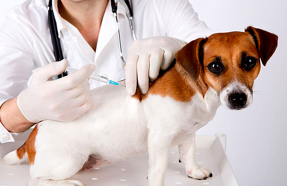 스크린샷 2019-02-13 오전 10.59.48.png