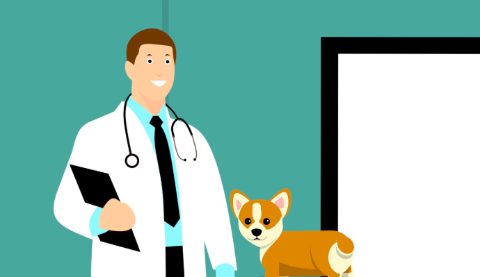 스크린샷 2019-02-13 오전 11.05.58.png