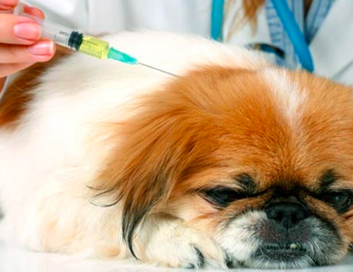 스크린샷 2019-02-13 오전 10.59.43.png