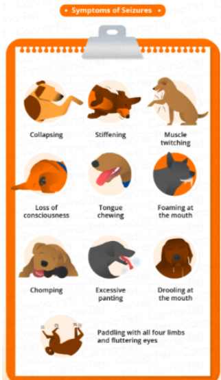 스크린샷 2019-03-23 오후 11.16.36.png