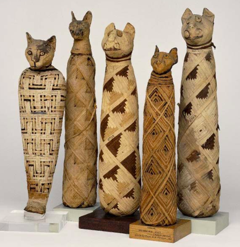 스크린샷 2019-02-13 오전 10.51.45.png