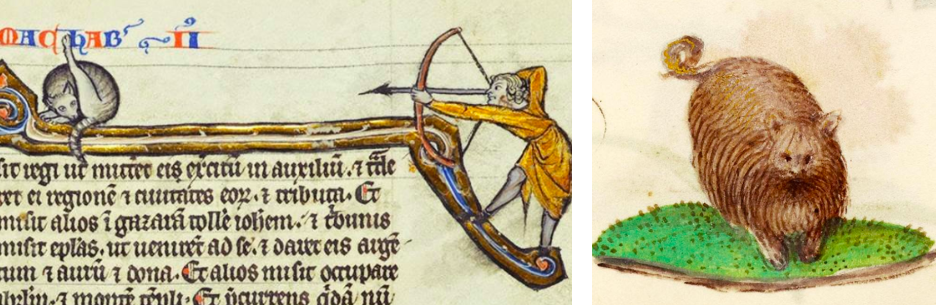 스크린샷 2019-02-13 오전 10.52.35.png