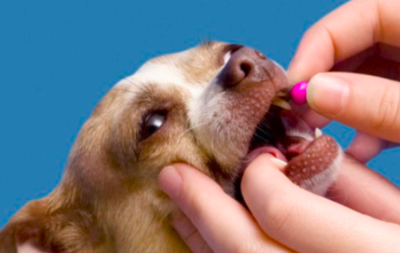 스크린샷 2019-04-27 오후 3.05.44.png