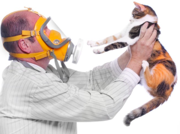 스크린샷 2019-02-13 오전 11.09.10.png