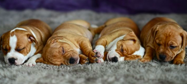 스크린샷 2019-03-23 오후 11.15.04.png