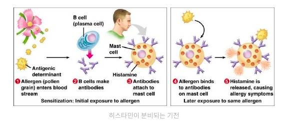 스크린샷 2019-02-13 오전 10.25.34.png