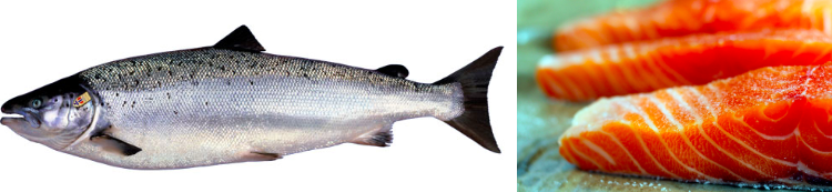 스크린샷 2019-02-27 오전 9.54.23.png