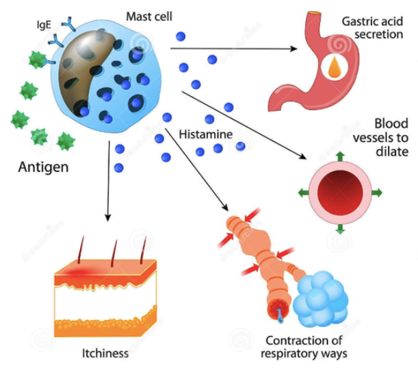스크린샷 2019-04-14 오전 12.27.06.png