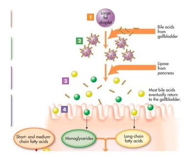 스크린샷 2019-02-27 오전 9.49.15.png