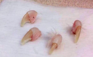 스크린샷 2019-03-05 오전 9.21.16.png