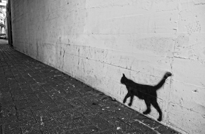 스크린샷 2019-02-13 오전 10.36.33.png