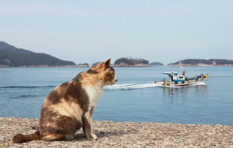 스크린샷 2019-02-13 오전 10.29.36.png