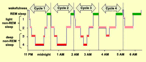 스크린샷 2019-03-15 오후 3.30.07.png