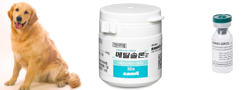 스크린샷 2019-02-13 오전 11.06.06.png